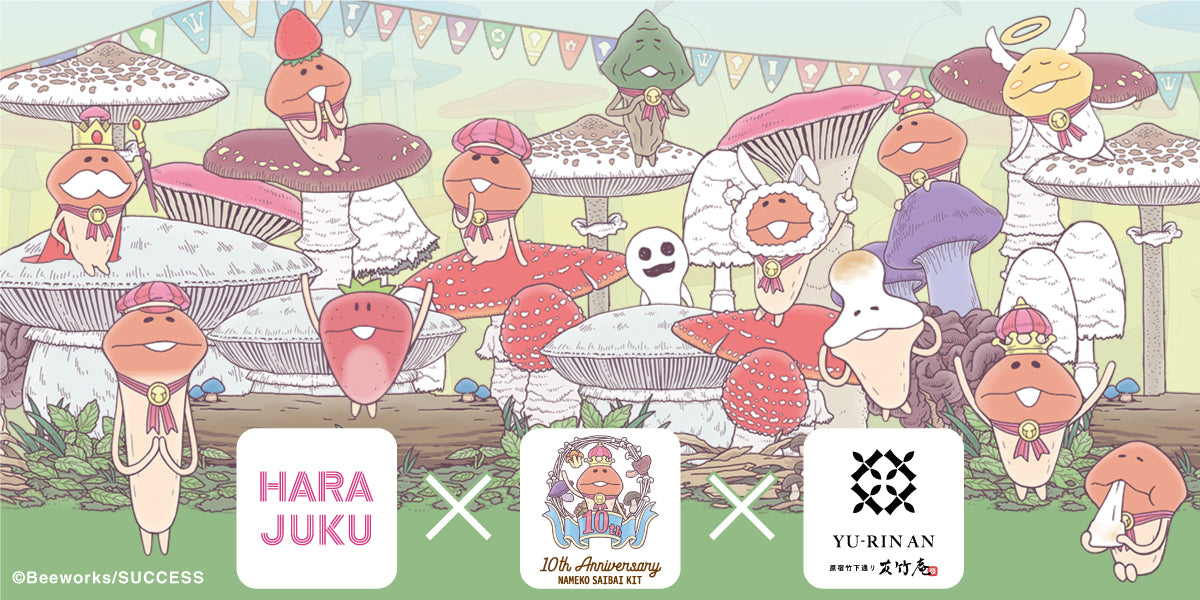 なめこ栽培キット」コラボ決定のお知らせ【6/17〜】